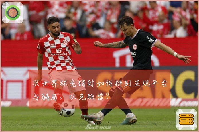 买世界杯竞猜时如何辨别正规平台与骗局，以免踩雷？