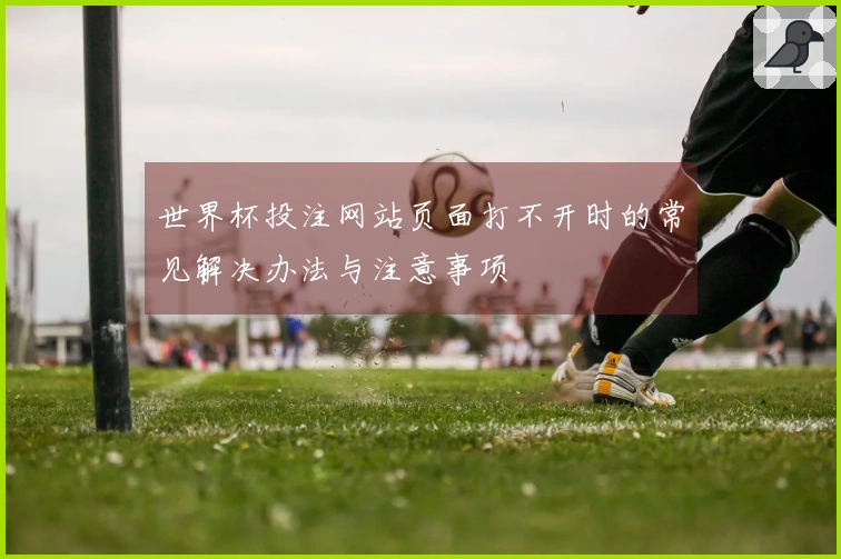 世界杯投注网站页面打不开时的常见解决办法与注意事项