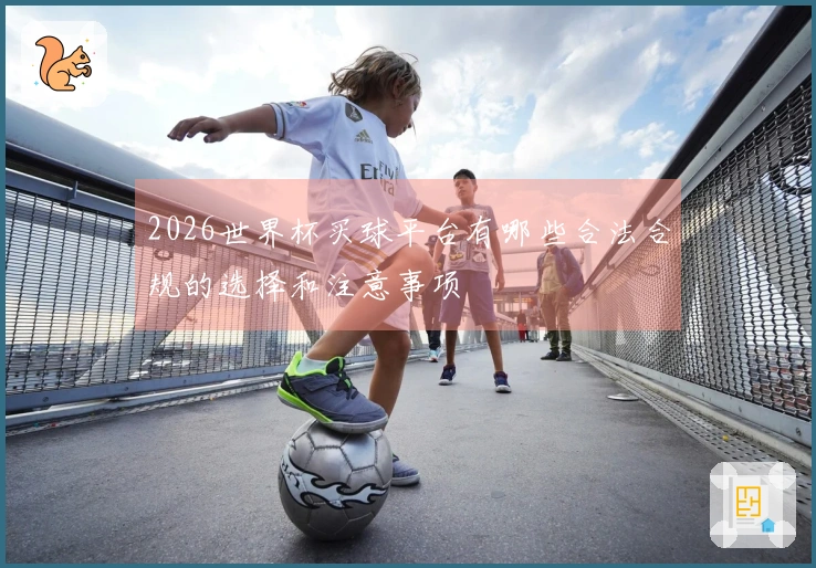 2026世界杯买球平台有哪些合法合规的选择和注意事项